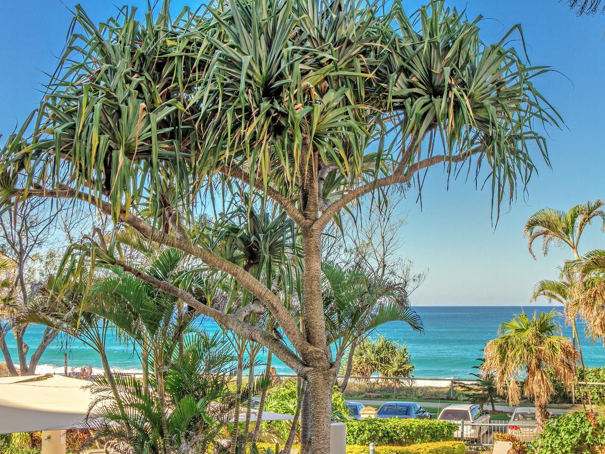 Oceana On Broadbeach Exterior photo